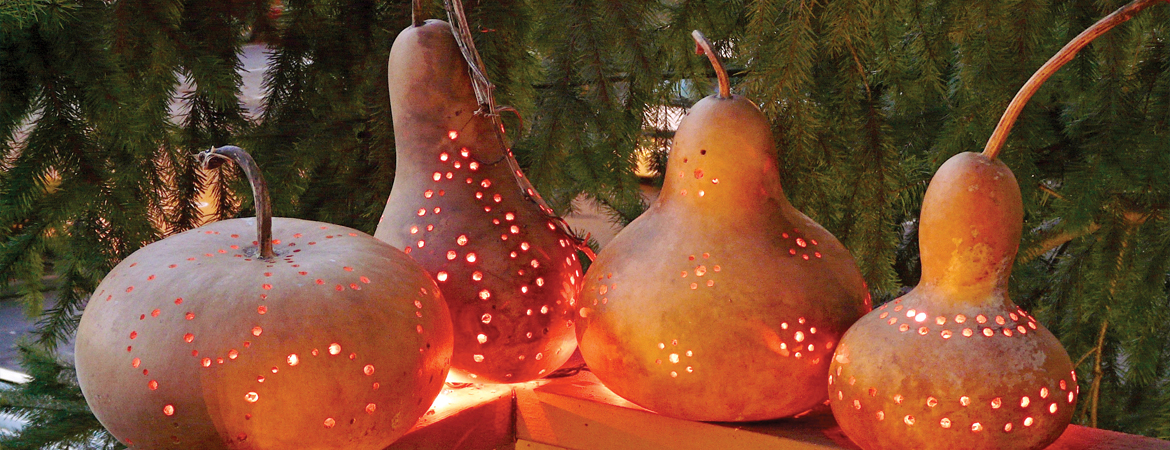 Gourds